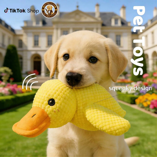 Squeaky Dog Toy - Durable Yellow Duck with Quacking Sound, Ideal for Indoor Dogs of All Sizes and Breeds, Perfect for Chewing, Tugging, and Calming