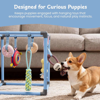 Nocciola Interactive Play Gym for Dogs - Enrichment Activity Frame with 8 Hanging Squeaky Ropes and Teething Toys, Ideal for Puppies and Small Dogs