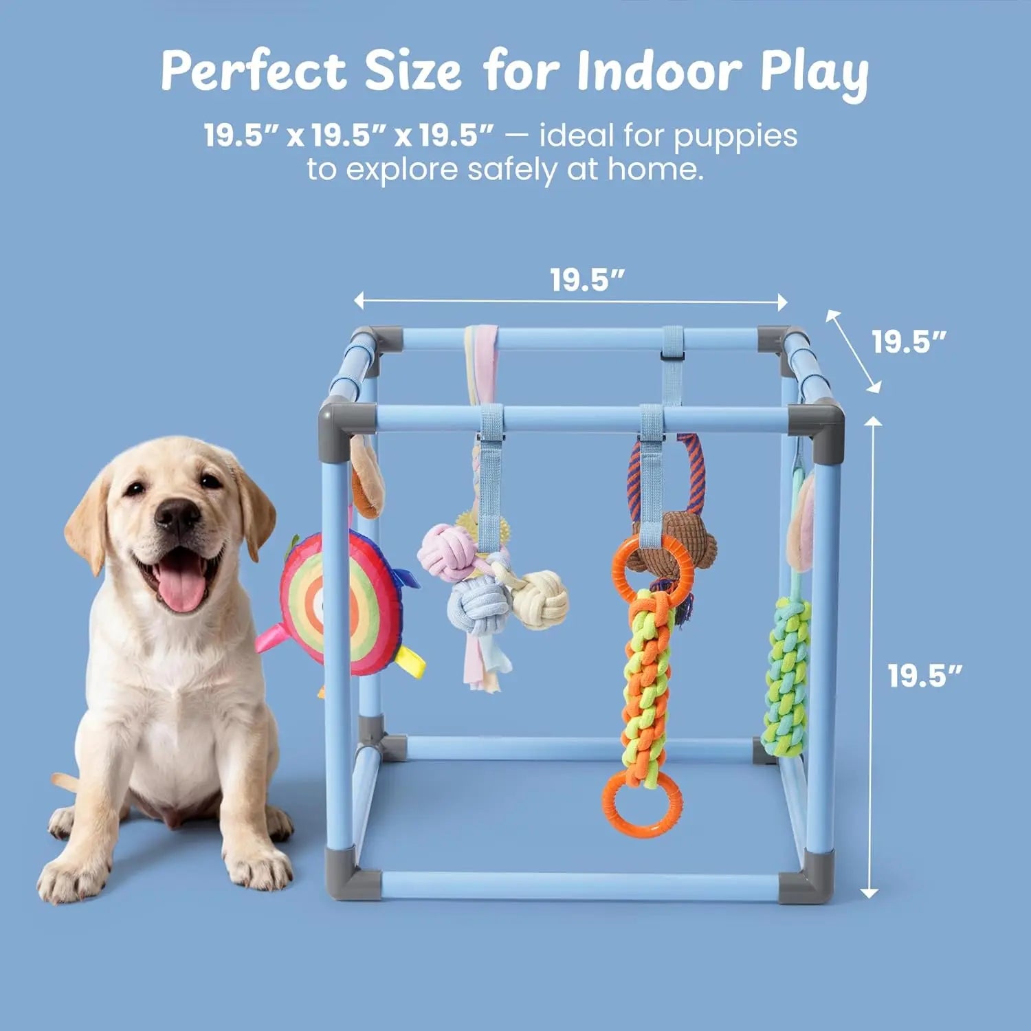 Nocciola Interactive Play Gym for Dogs - Enrichment Activity Frame with 8 Hanging Squeaky Ropes and Teething Toys, Ideal for Puppies and Small Dogs