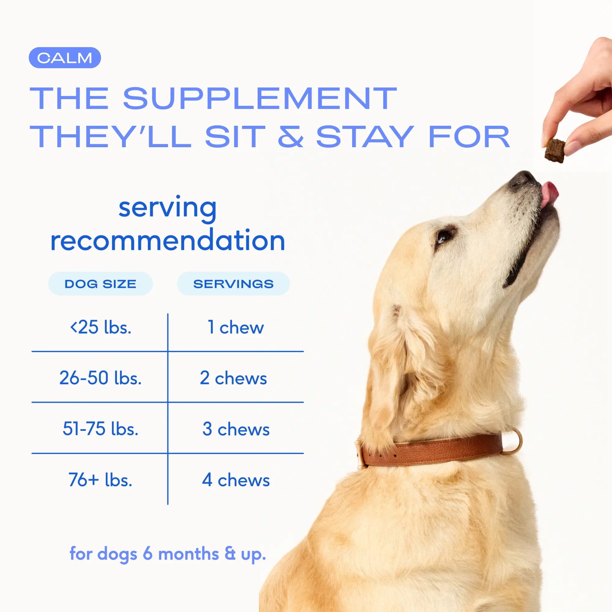 Native Pet Calming Chews for Dogs - All-Natural Grain-Free Treats with Melatonin and L-Theanine for Anxiety Relief and Stress Management