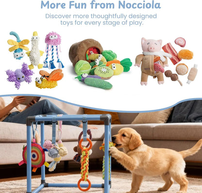 Nocciola Interactive Play Gym for Dogs - Enrichment Activity Frame with 8 Hanging Squeaky Ropes and Teething Toys, Ideal for Puppies and Small Dogs